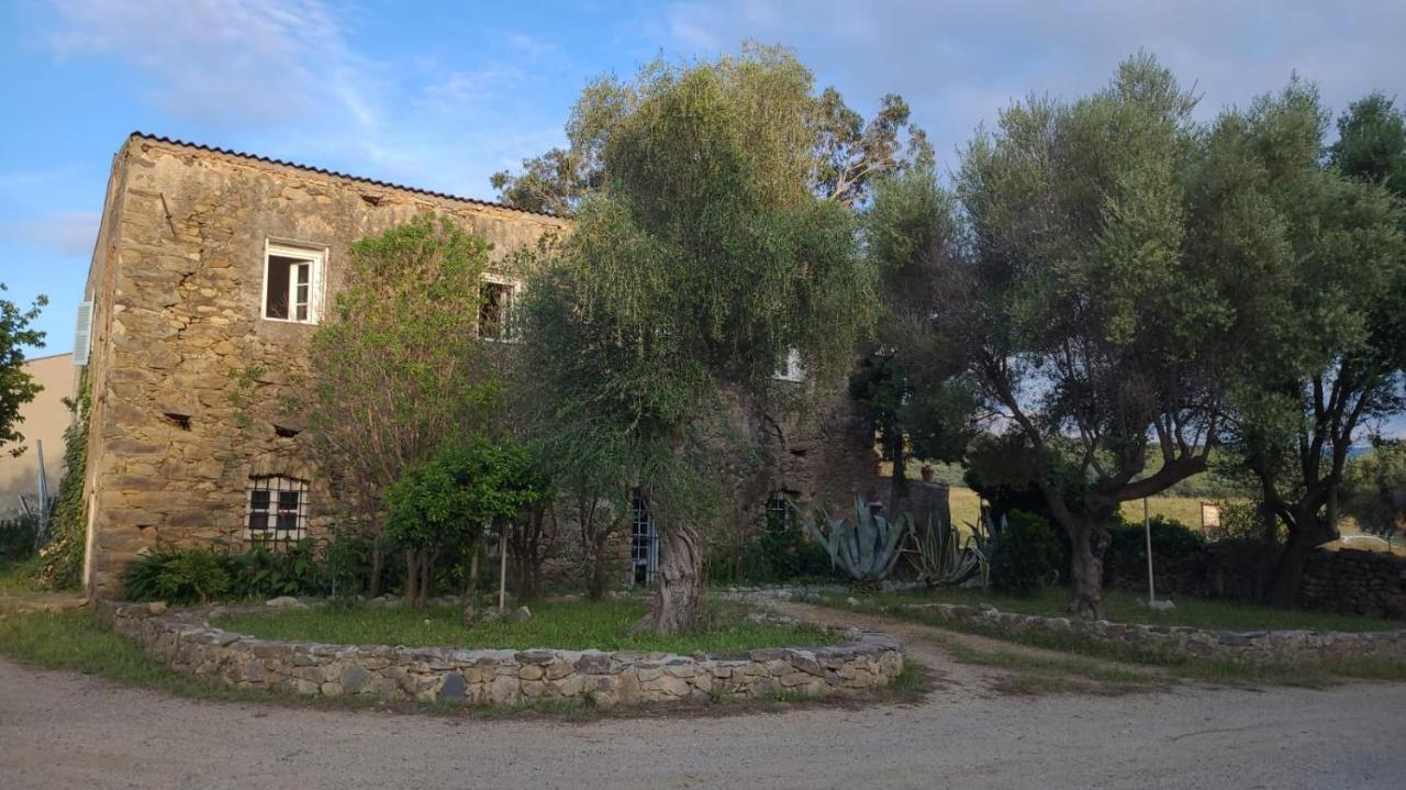 Domaine Ostriconi Bed and Breakfast Palasca  Exteriör bild